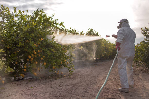 Best Pest Removal Services  in Saltville, VA